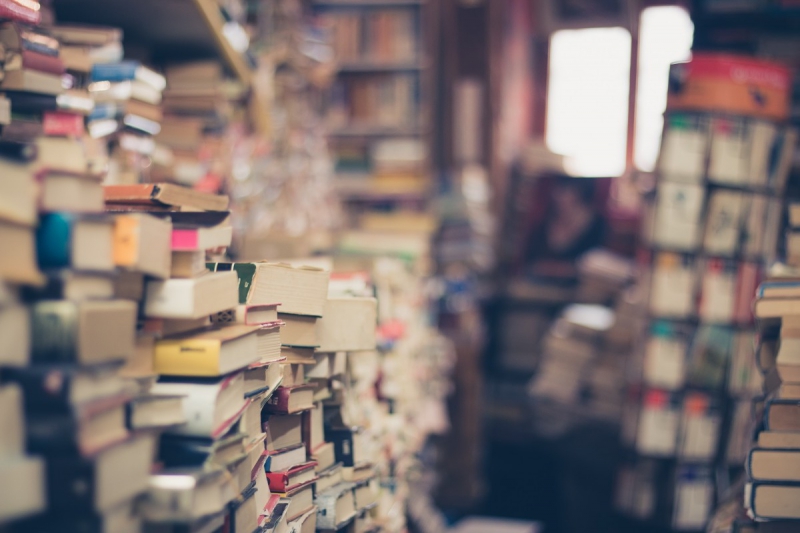 magasin-LES SALLES SUR VERDON-min_books_stack_book_store_stack_of_books_2nd_hand_retro_hipster_shop-829090